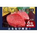 飛騨牛 ヒレ 170g