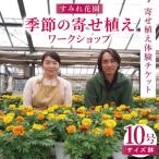 fu.... налог line person город. цветок сельское хозяйство дом [ sumire цветок .] сезон. .... Work магазин (10 номер размер горшок )l цветок . цветок сезон. цветок Work магазин body . body . билет.. Ibaraki префектура line person город 