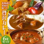 の食材を使った贅沢カレー6食セット スープカレー