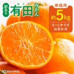 ご 有田みかん S~Lサイズ 大きさお任せ