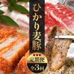 ひかり麦豚定期便 冷凍 HM-1..