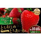 ふるさと納税 栃木いちご食べ比べとちおとめ＋とちあいか4パック《1月中旬-5月末頃出荷》【配送不可地域】沖縄・離島 栃木県野木町