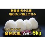 新登場の高級米 令和7年産 金色の風 白米5kg