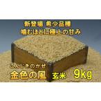 新登場の高級米 令和7年産 金色の風 玄米9kg