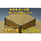 新登場の高級米 令和7年産 金色の風 玄米10kg