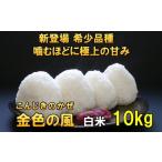 新登場の高級米 令和7年産 金色の風 白米10kg
