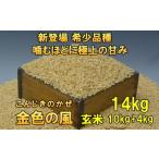 新登場の高級米 令和7年産 金色の風 玄米14kg