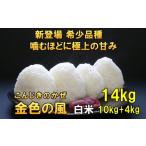 新登場の高級米 令和7年産 金色の風 白米14kg