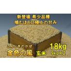 新登場の高級米 令和7年産 金色の風 玄米18kg