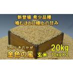 新登場の高級米 令和7年産 金色の風 玄米20kg