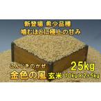新登場の高級米 令和7年産 金色の風 玄米25kg