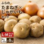 野菜セット 富良野産 たまねぎ じゃがいも