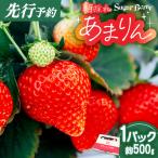 あまりん プレミアムいちご 約500g