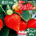 あまりん プレミアムいちご 約1kg