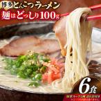 豚骨ラーメン とんこつ 豚骨 麺1袋100g 6食
