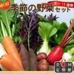 季節の野菜詰め合わせセット 新鮮 採れたて