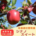 シナノスイート 約5kg