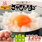 さかもとのたまご 20個