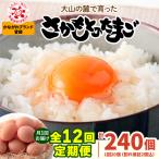 さかもとのたまご 20個