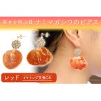 幸せを呼ぶ貝 ナミマガシワのピアス イヤリング