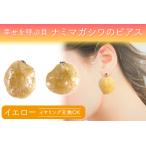 幸せを呼ぶ貝 ナミマガシワのピアス イヤリング