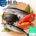 季節の鮮魚 おまかせお楽しみセット 翡翠コース