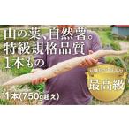 fu.... налог D173 Mira iefarm Special класс стандарт качество 1 шт. было использовано 750g супер размер высший класс Японский ямс Yamaguchi префектура Yamaguchi город 