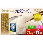 令和8年産 白米 金のめし丸 元気つくし 5kg