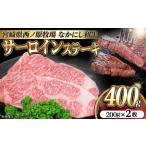 西ノ原牧場 なかにし和牛サーロインステーキ 400g