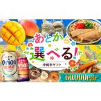 ふるさと 6万円分 沖縄 オリオンビール ビール