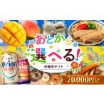 ふるさと 5万円分 沖縄 オリオンビール ビール