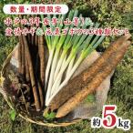 水戸の3年長芋 山芋 &愛情ネギ&元気ゴボウの3種類セット【