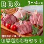 広島牛お手軽BBQセット 3~4人前