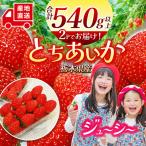 苺 とちあいか 2P