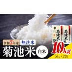 令和7年産 菊池米 白米 無洗米 10kg