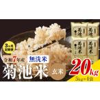 肥後米 無洗米 玄米 20kg
