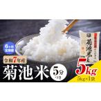 令和7年産 菊池米 5分づき 5kg