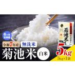 菊池米 白米 無洗米 5kg