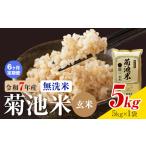 菊池米 玄米 無洗米 5kg