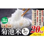 令和7年産 菊池米 5分づき 20kg
