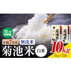 菊池米 白米 無洗米 10kg
