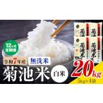 菊池米 白米 無洗米 20kg