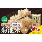 肥後米 無洗米 玄米 5kg