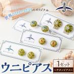 海アクセサリー ウニチタンピアス 1セット