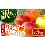 ふるさと納税 岩手町産りんご詰め合わせ約5kg【訳あり】 令和7年産 不揃い サンふじ シナノゴールド シナノスイート 北斗 果物  岩手県岩手町
