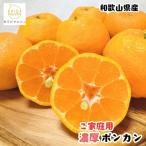 極甘 柑橘有田育ちの濃厚 ポンカン 3kg+200g