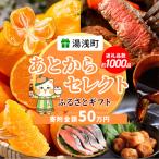 あとからセレクト 50万円_ZZ1018