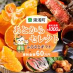 あとからセレクト 60万円_ZZ1019