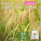 令和8年産 2026年産 新米 小浦れんげ米