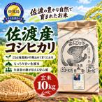 ササニシキ 玄米 10キロ